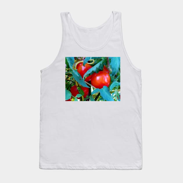 Ripe Red Tomatoes Tank Top by Cynthia48